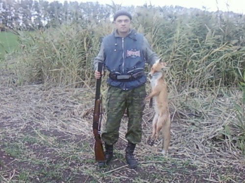 Моя первая лиса.