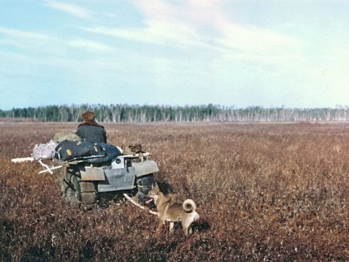 По чмарнику, к дальним озёрам...