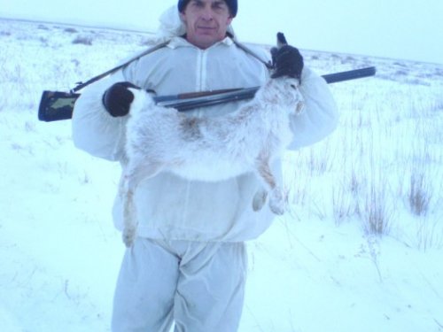 Первый в 2010 году