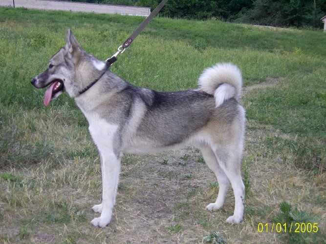 Помощник