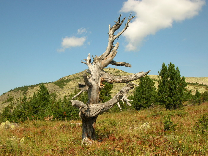 Шерегеш
