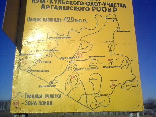 ЗДЕСЬ ЕСТЬ ВСЁ КРОМЕ МИШКИ