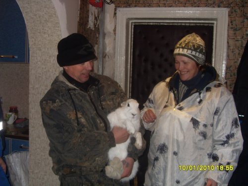 взяли зайца живьем для внучки