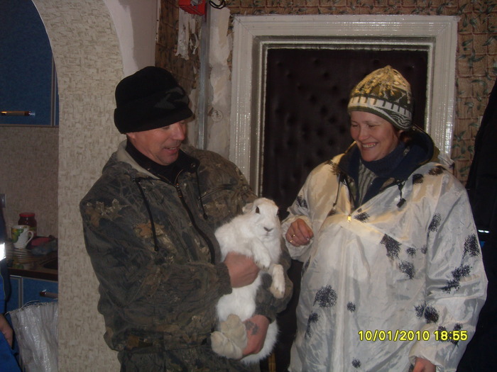 взяли зайца живьем для внучки