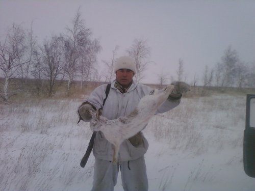 Первый русак  взятый в 2010 году.