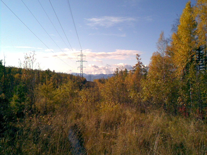 осень