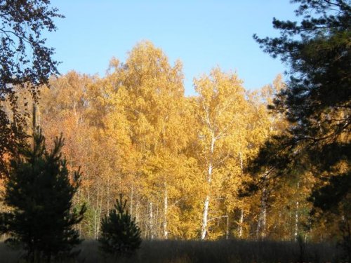 Краски осени 1