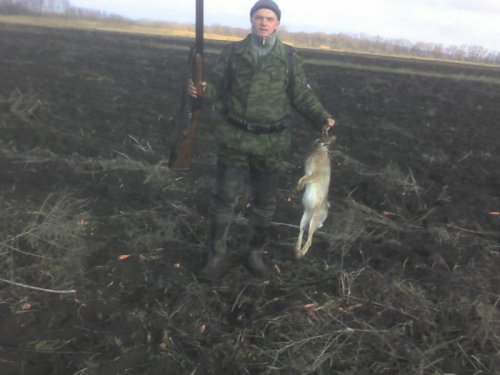 Охота на зайца.
