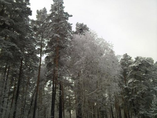 А на улице -30