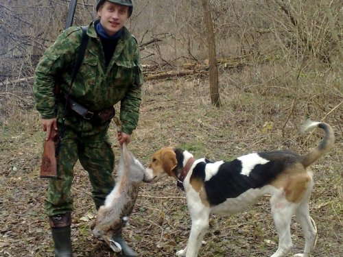 Лесной зайчик 2010г