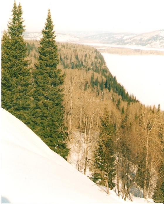 в доль берега р.Томи.