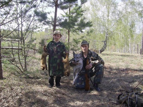 Парочку добыли