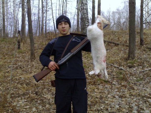 Первый заяц  добыт моим сыном.