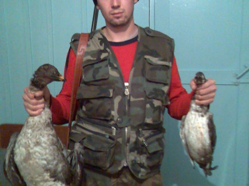 вот такая наша дичь