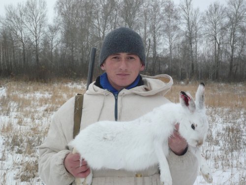 Быстрый заяц