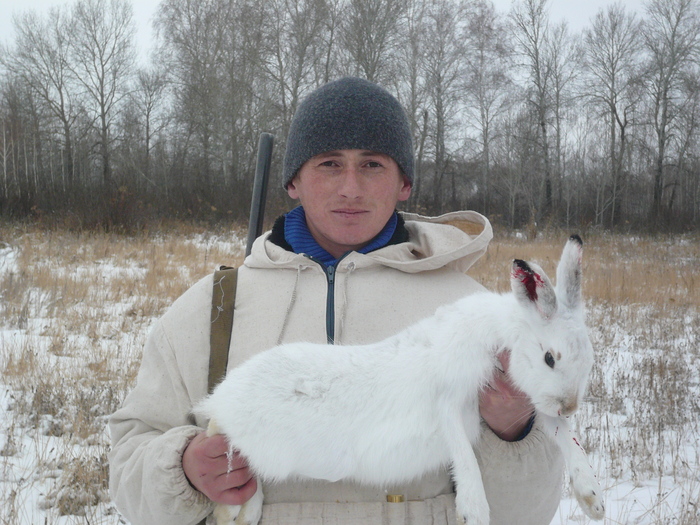 Быстрый заяц