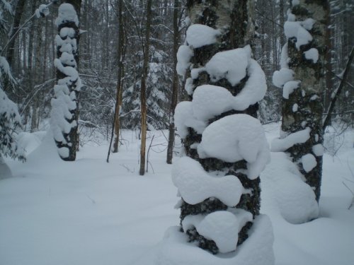 снеговик