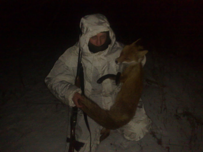 Ночная плутовка