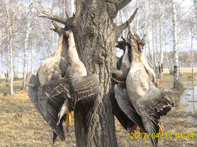 Весна-09г