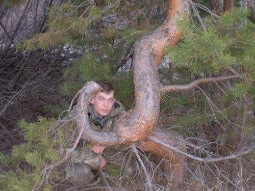 Аномальная зона!