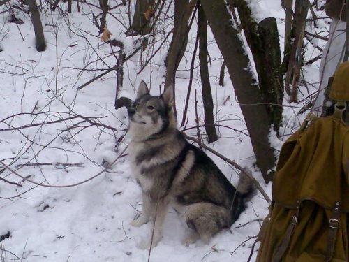 Кинг позирует