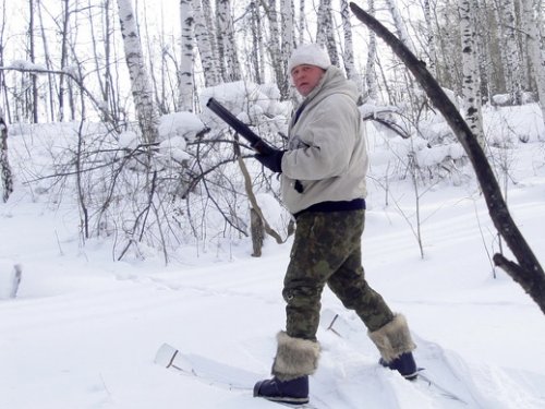 Следы в лесу