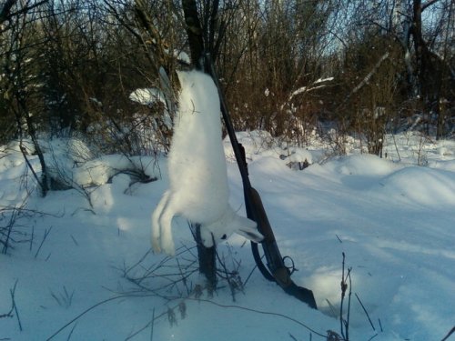 класика  с гончими