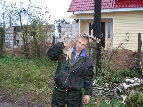 сова
