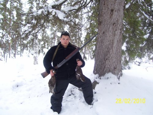 Кругом одни самки.