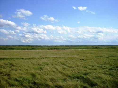 Красота природы