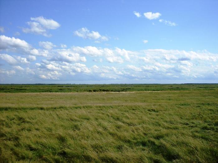 Красота природы