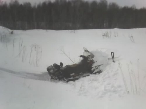 Дофотографировался тех пяти Граций