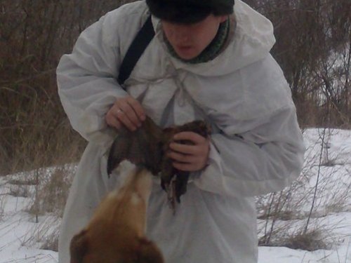 Вальдшнеп