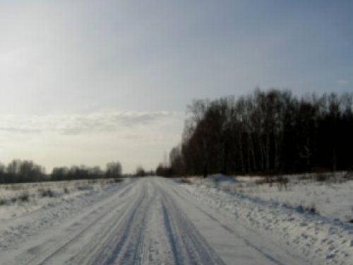 Вперед-за зайцами)