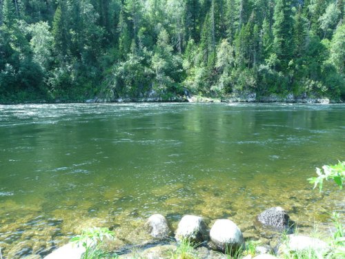 Кусочек лета