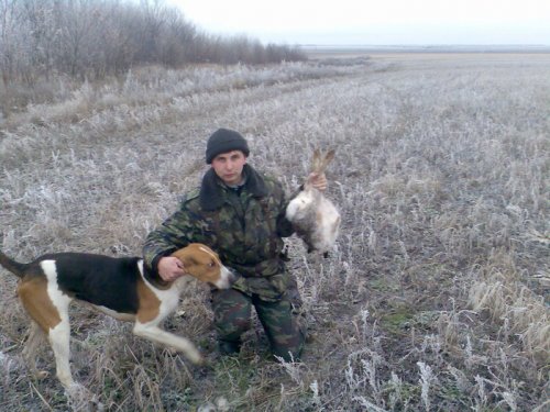 по чернотропу