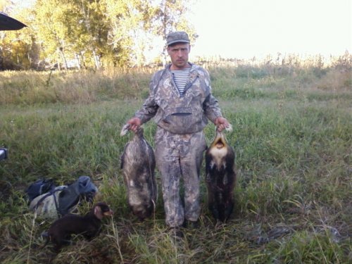 Осень 2009г.