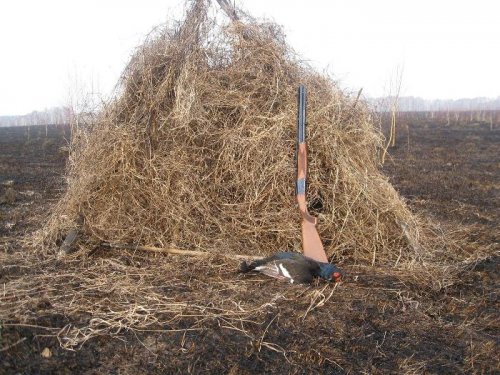 Скорее бы уж.....