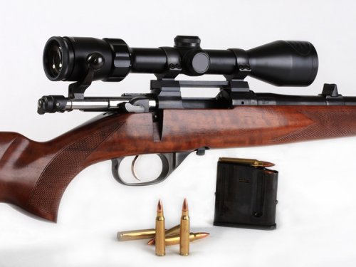 CZ - 527 (223 rem.)