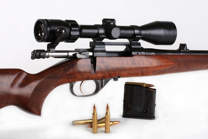 CZ - 527 (223 rem.)
