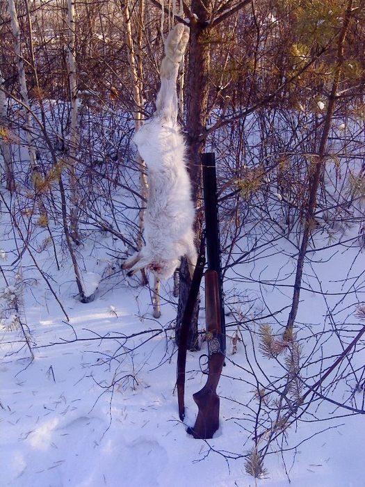 Белячок! 3 января 2009г