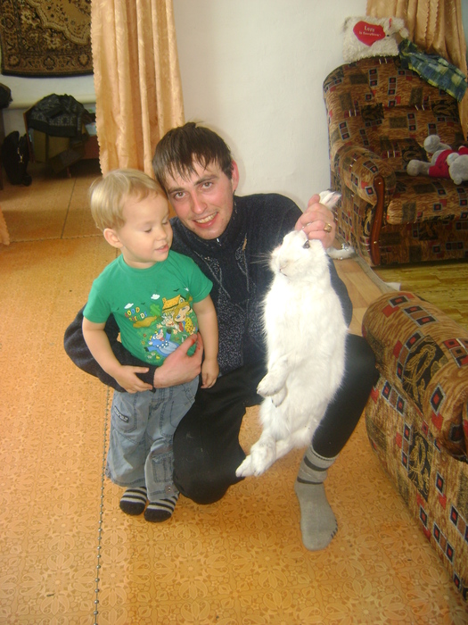 Добыт