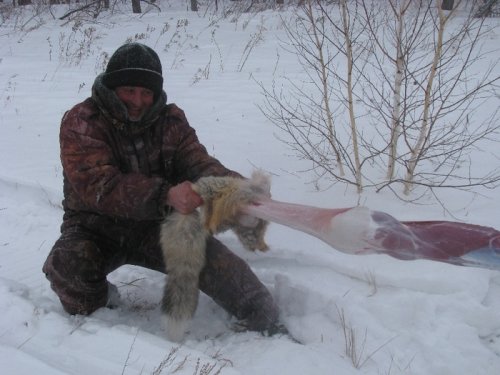Последняя шкурка  на закрытии 28.02.2010        .