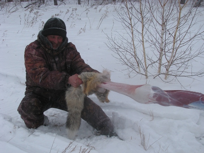 Последняя шкурка  на закрытии 28.02.2010        .
