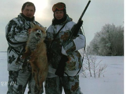 Хитрый лис