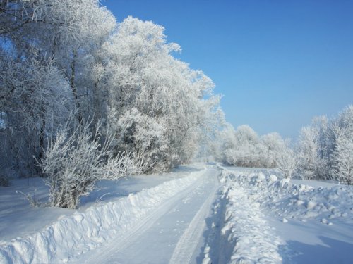 Дорога в зимнем лесу
