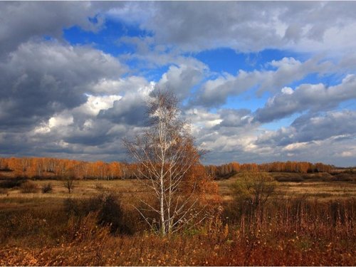 Одиночество
