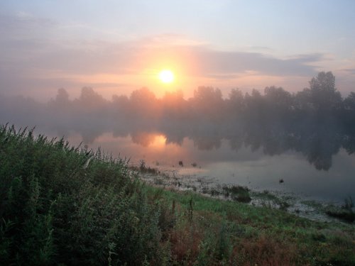 Утренняя зорька