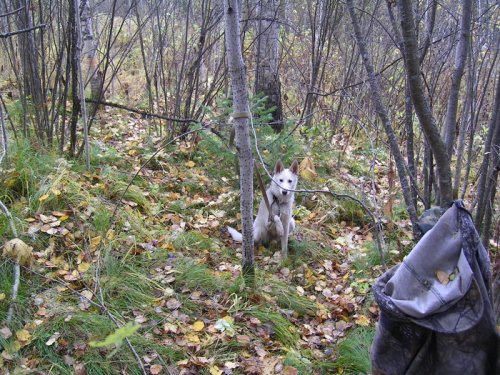 ну отпустите пожалуйста!!!