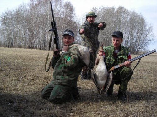 мы и гуси